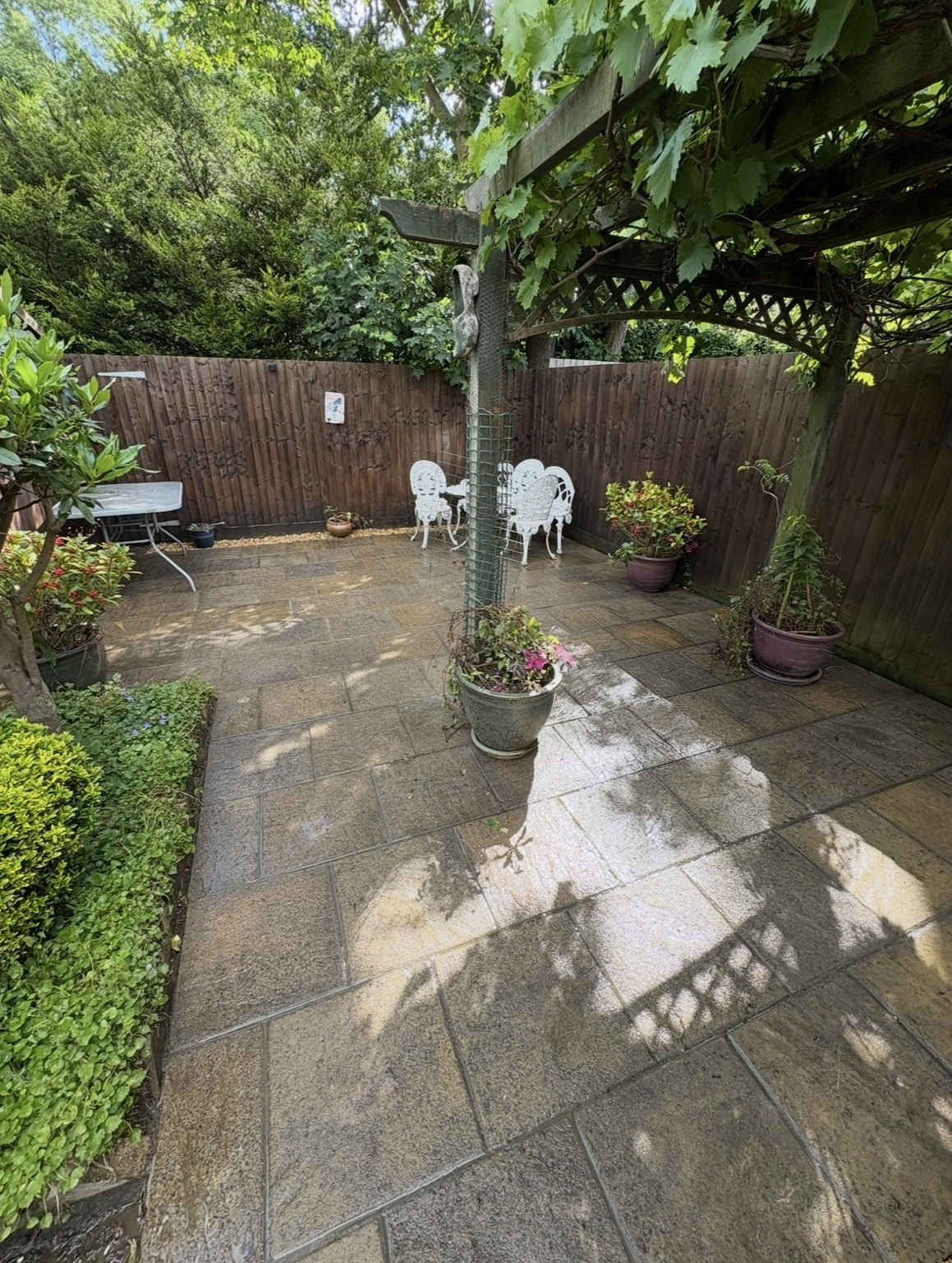 After Patio Restoration